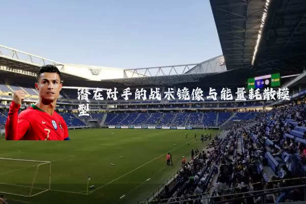 潜在对手的战术镜像与能量耗散模型